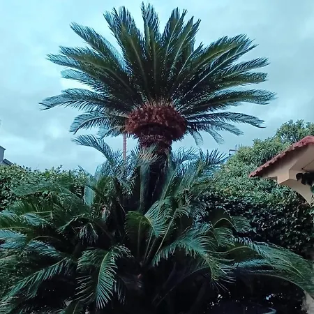 Elisabetta לינה וארוחת בוקר