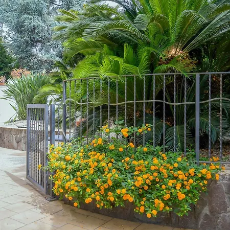 Bed and breakfast Elisabetta 4*