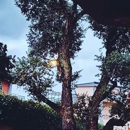 Elisabetta 4*